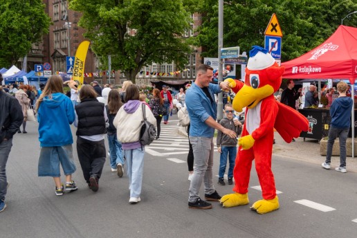 piknik nad odrą alejki